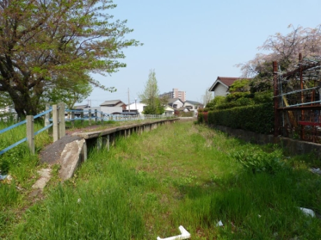 画像12